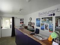 Blackcurrant Backpackers 2*