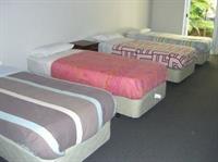 Blackcurrant Backpackers