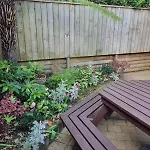 The Tuis Nest