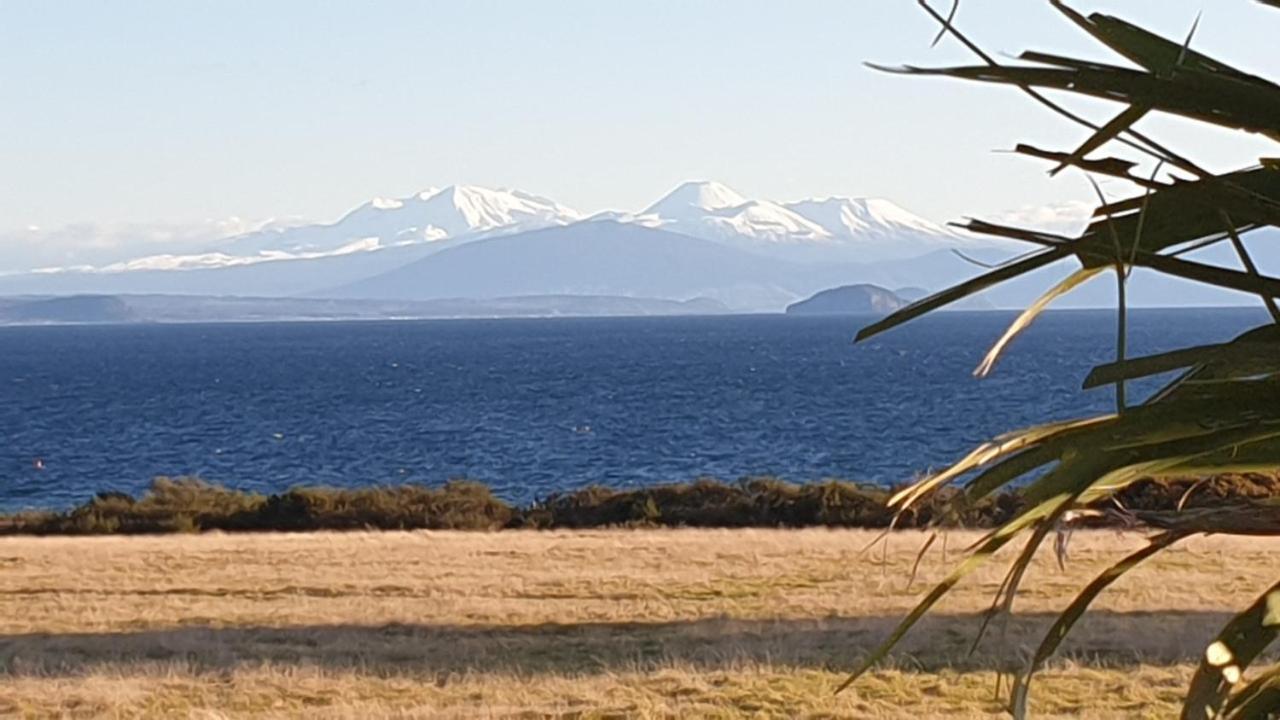 Little Beauty - Wharewaka Magic