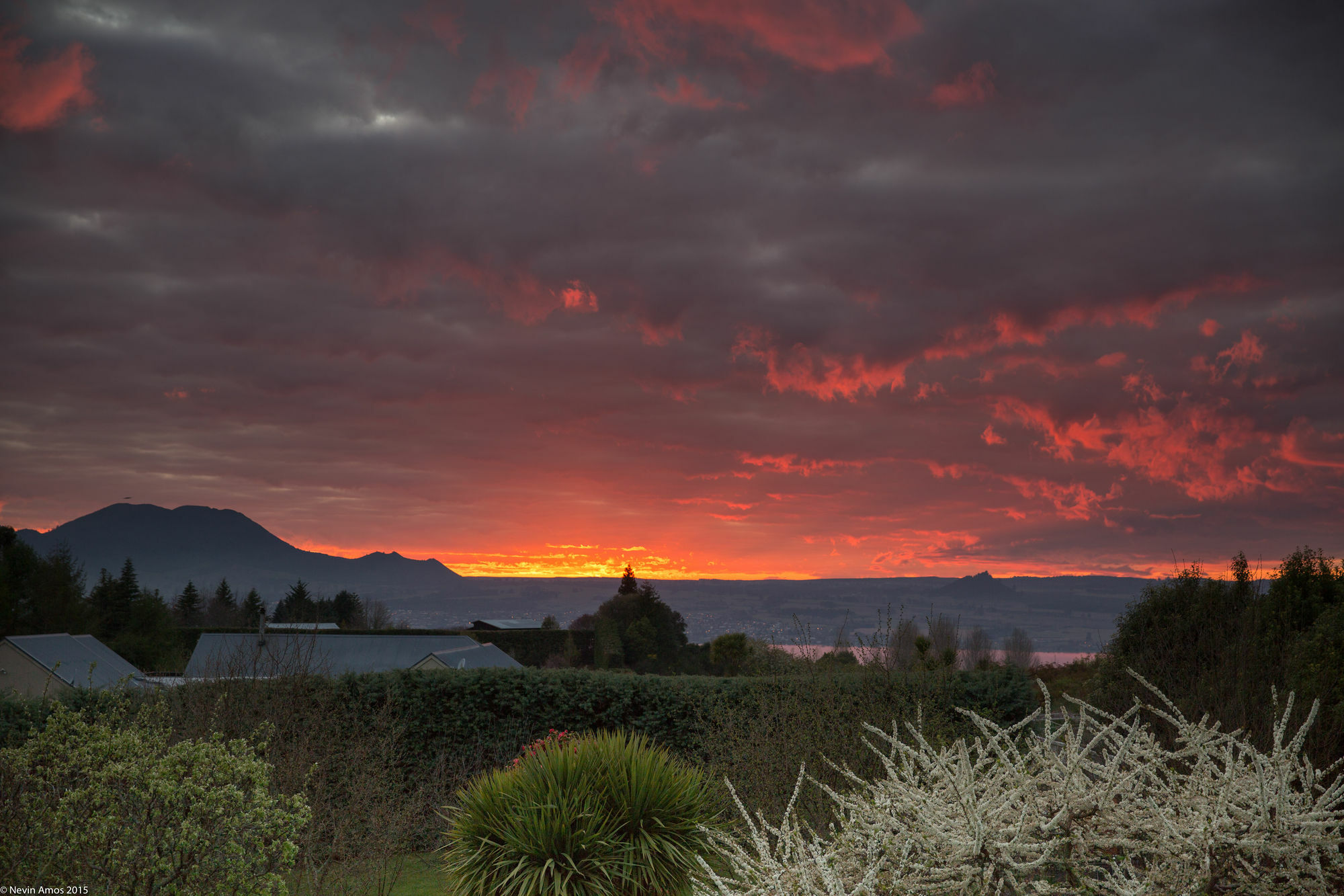 Eiger * Taupo