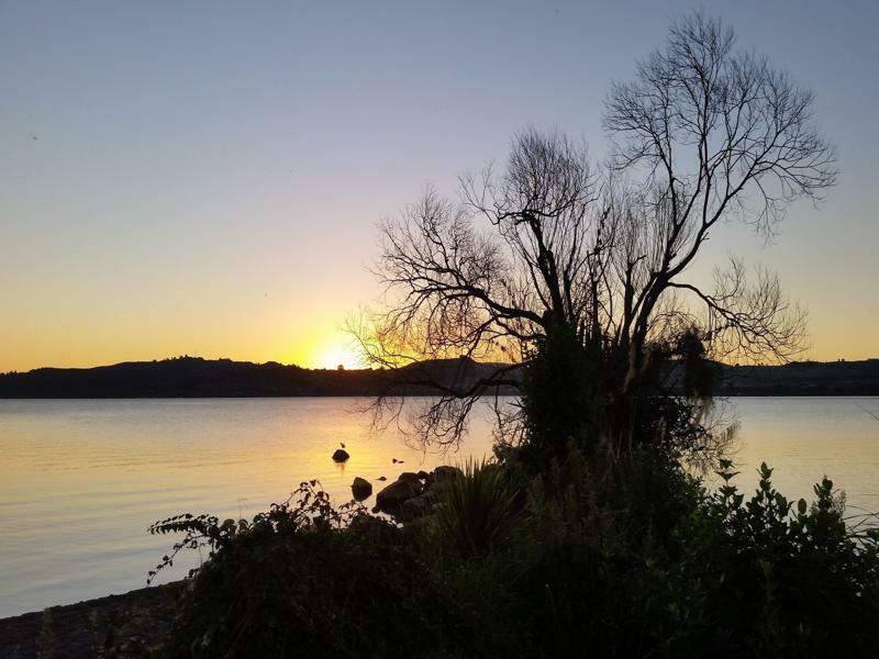 Mews Taupo