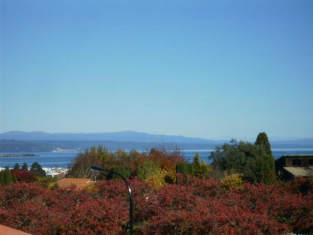 Falls Chateau 5*