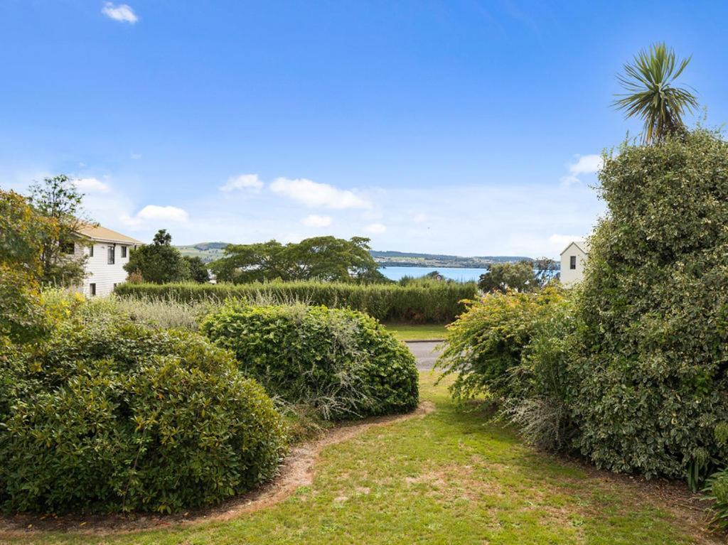 Wharewaka Bach -