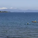 The Cove- On The Lake