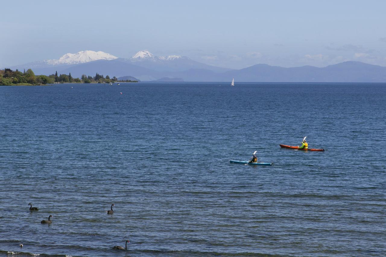 The Cove- On The Taupo