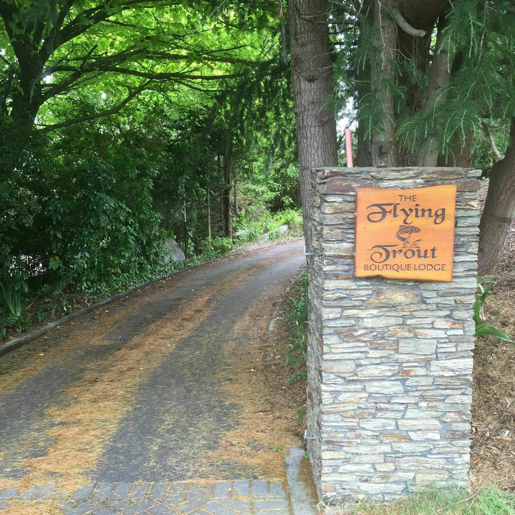 The Flying Trout Boutique